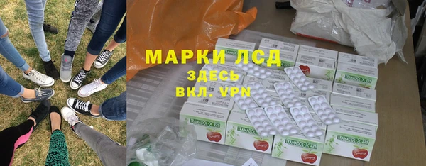 индика Балахна