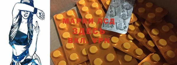 индика Балахна